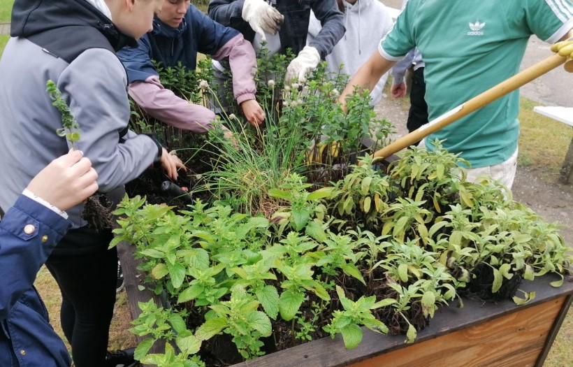 Schülerinnen und Schüler des 2. Jahres der Erzieherausbildung pflanzen auf dem Schulhof in zwei Hochbeeten Kräuter und Pflanzen an.