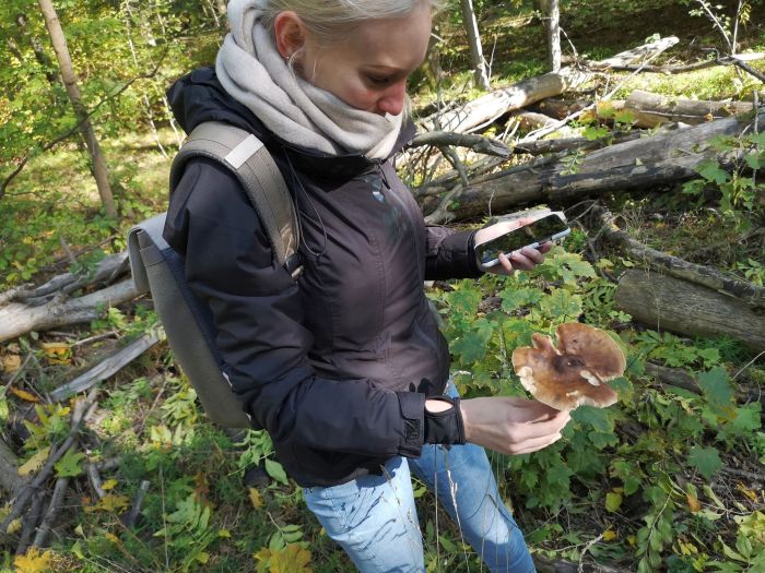 Eine Erzieherschülerin der DPFa Leipzig betrachtet ihren gefundenen Pilz.