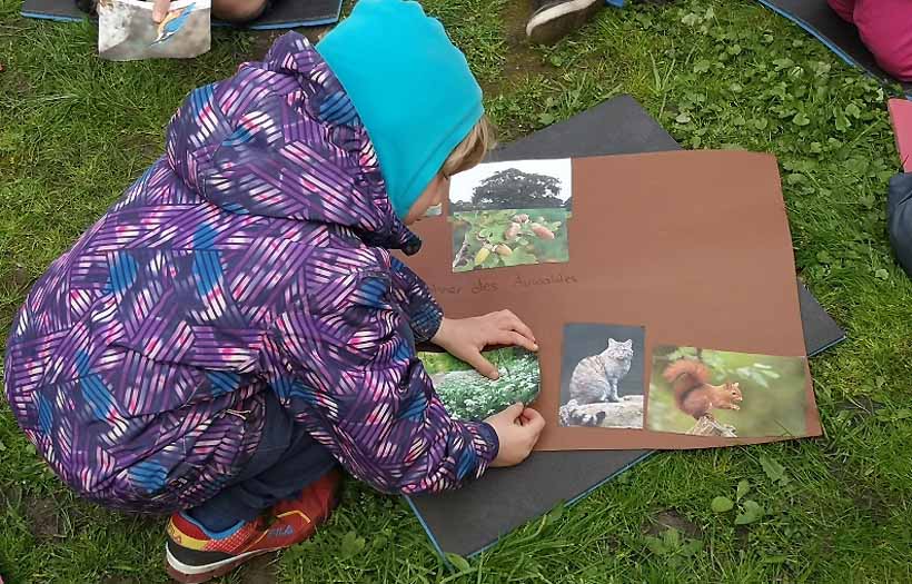 Ein Kind klebt Bilder von Tieren aus dem Auwald (Eichhörnchen, Luchs) auf einen Karton.