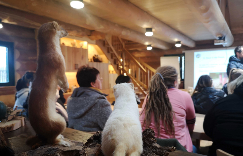 In einem Holzhaus stehen Figuren heimischer Waldtiere. Davor sitzen Menschen und hören einem Vortrag zu.